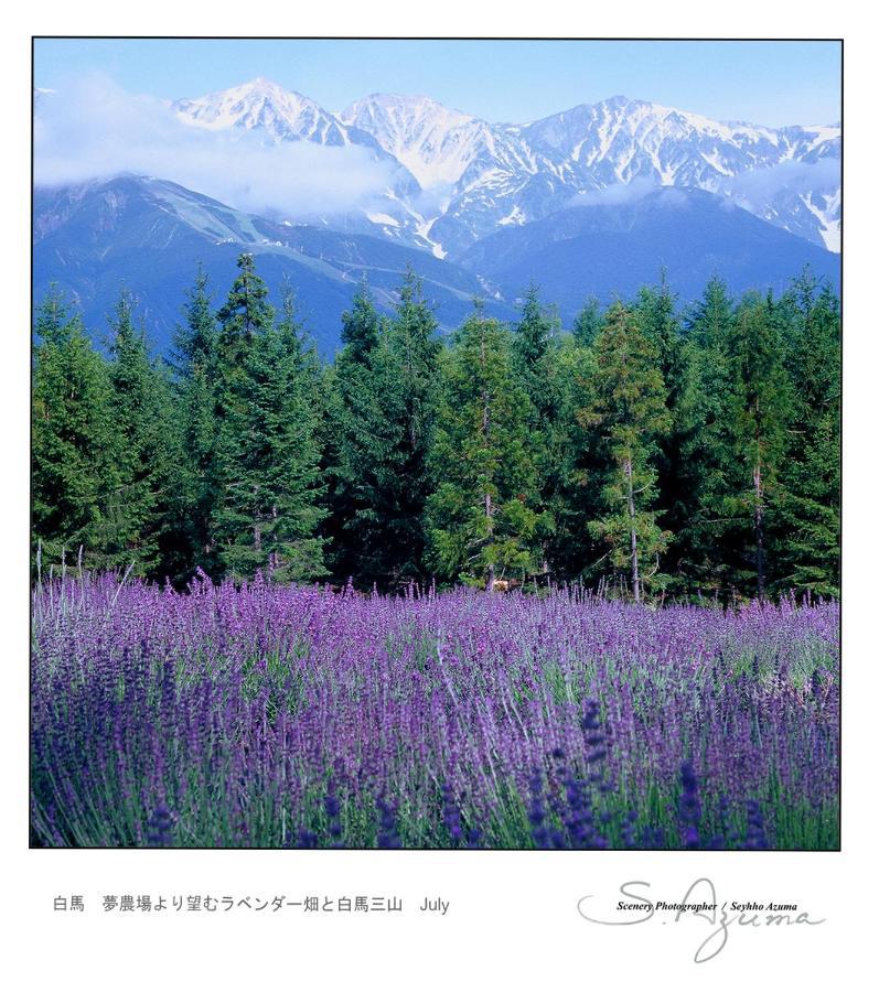 Hotel Montblanc Hakuba Exterior foto